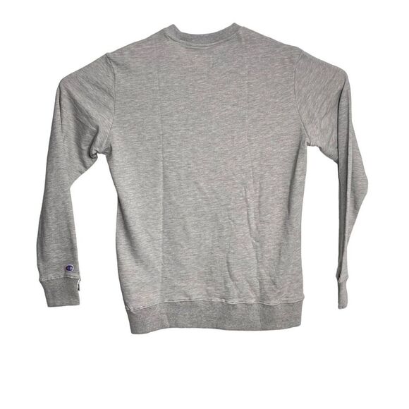 Champion Men's Gray Fleece Pullover Sweatshirt New - Picture 6 of 8